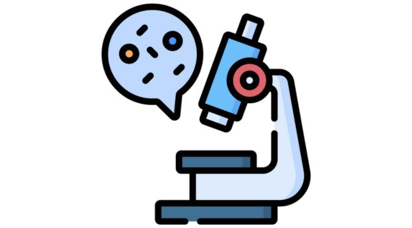 Campamento de ciencia para niños