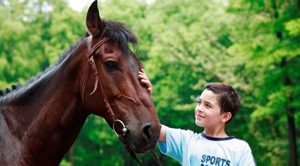 Campamentos de hípica en España