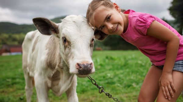 Campamentos de verano con animales