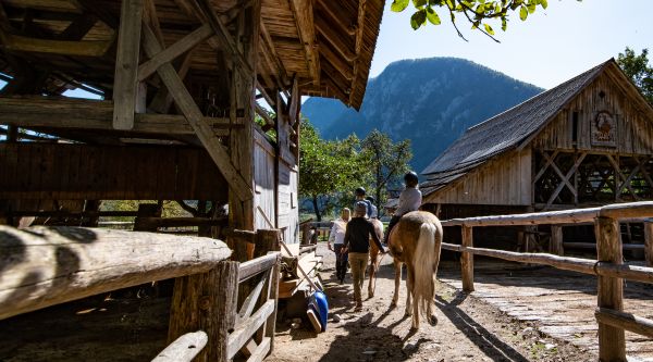 Campamentos de verano de hípica en España