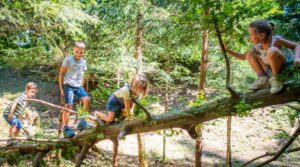Campamentos de verano en la naturaleza en España