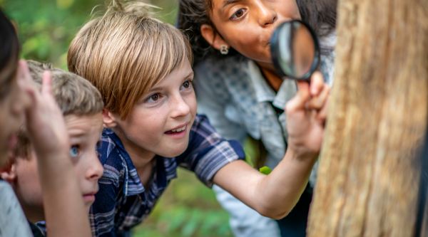 Campamentos en inglés en Madrid con multiaventura