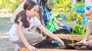 Mejores campamento de granja escuela en España