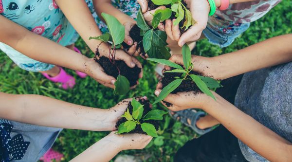 Mejores campamentos en la naturaleza con pernocta