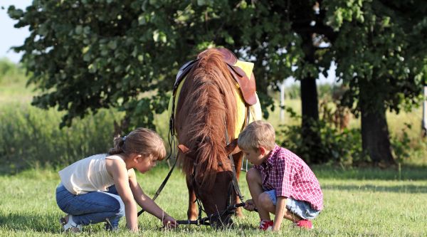 Campamentos en inglés en Castilla La Mancha para niños