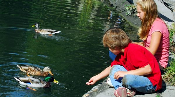 Campamentos multiaventura en Cuenca