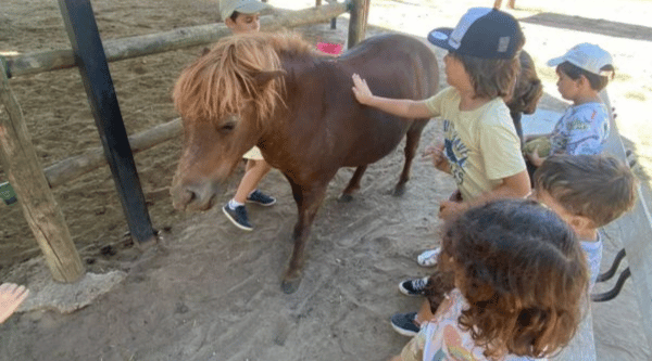 Campamento urbano granja escuela en Alcalá de Henares con caballos