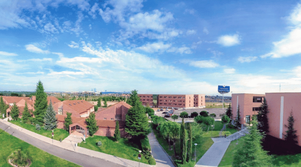 Campamento urbano en inglés en Universidad Francisco Vitoria para jóvenes