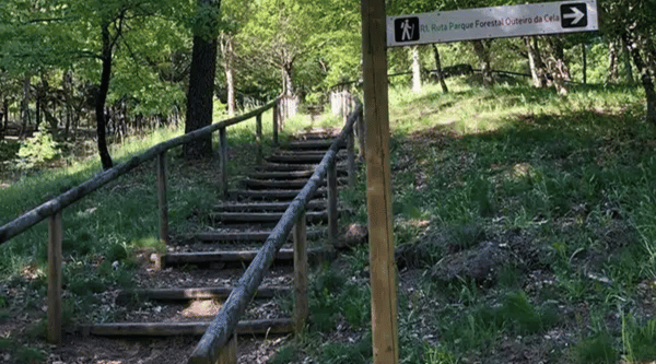 Campamento en Orense