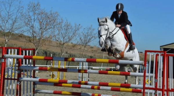 Campamento Villaviciosa de Odón con caballos