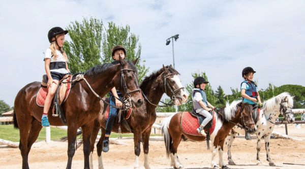 Campamento urbano en inglés en Universidad Francisco Vitoria con equitación