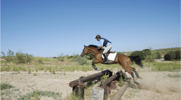Campamento Villaviciosa de Odón de hípica