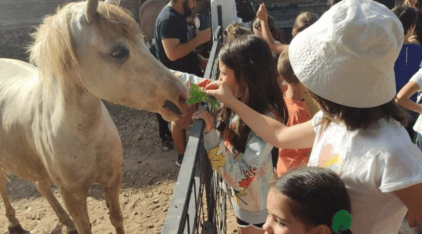 Campamento urbano granja escuela en Alcalá de Henares para jóvenes