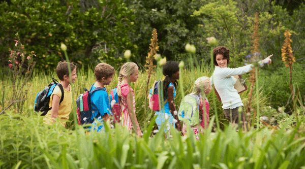 Campamentos urbanos con multiaventura en Andalucía