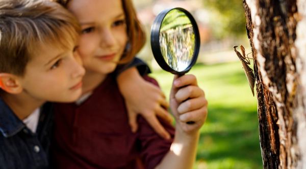 Campamentos urbanos con multiaventura en Alicante