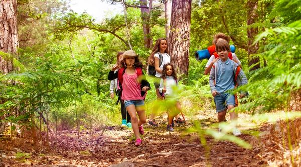 Campamentos urbanos con multiaventura en Soria