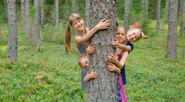 Campamentos urbanos en inglés en Gipuzkoa